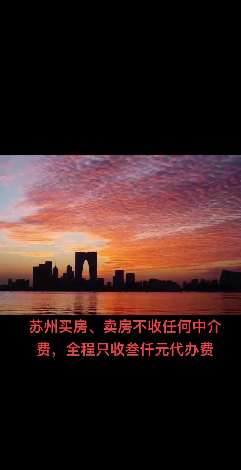 苏州房产中介市场：从传统到数字化的转型之路